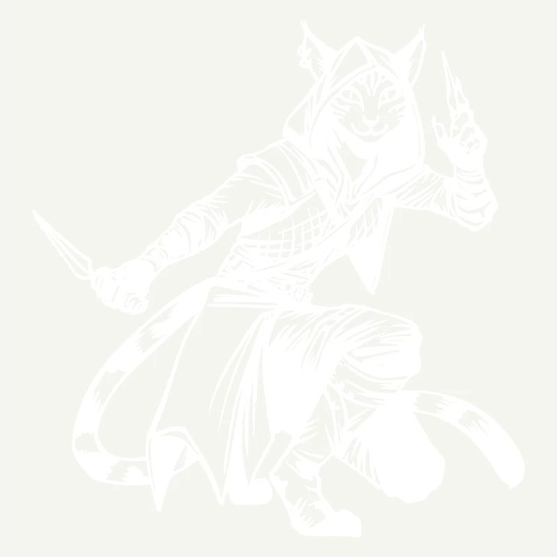 Tabaxi Rogue White