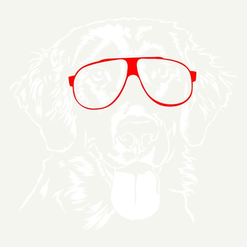 FLAT COATED RETRIEVER drôle de lunettes chiens Wilsigns