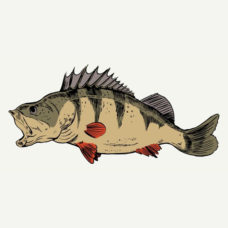 Ritters de pêche à la perche Pêcheurs prédateurs de perches