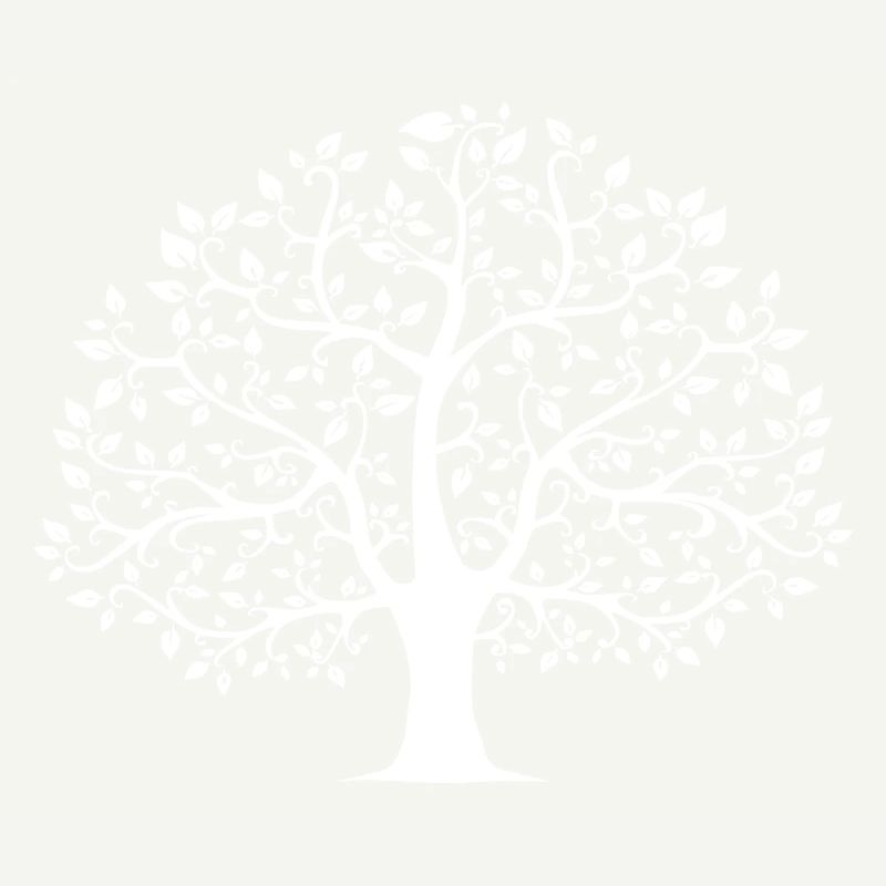 arbre