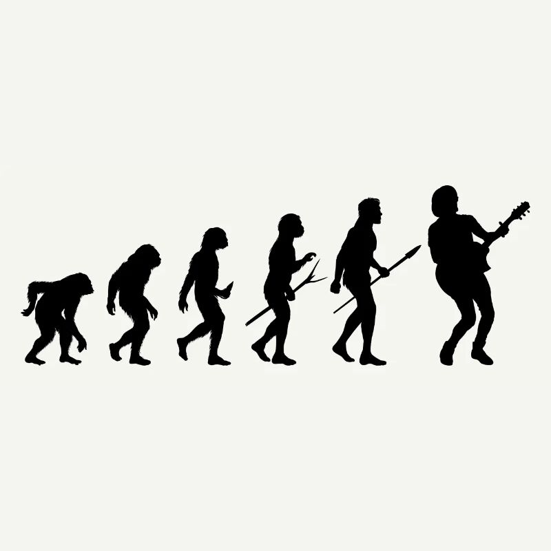 guitar guitar evolution