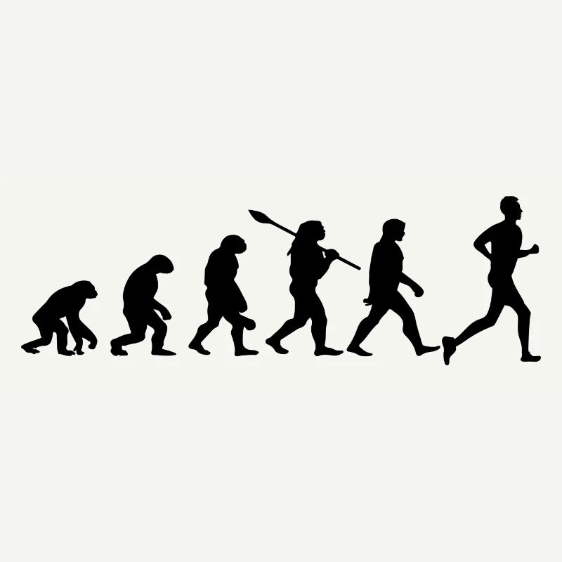 Entwicklung des Marathons