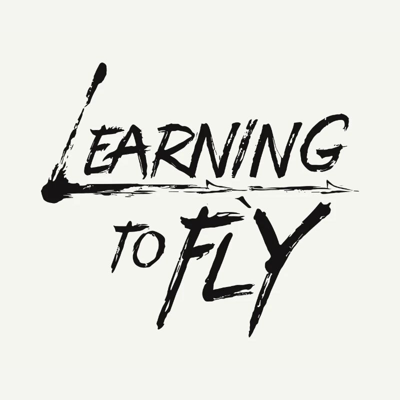 Learning to fly Flying Airplane Pilot Flyer