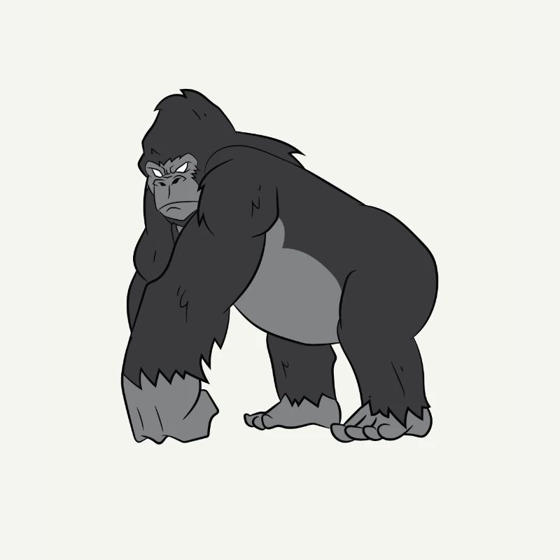 Gorilla - Strong silverback