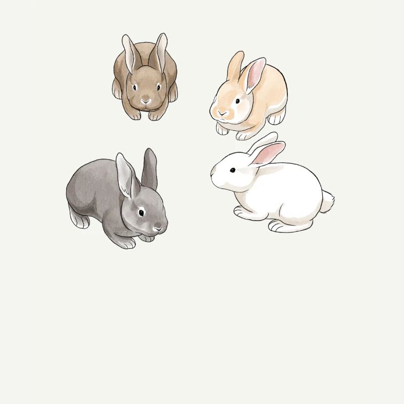 Rabbits Frends