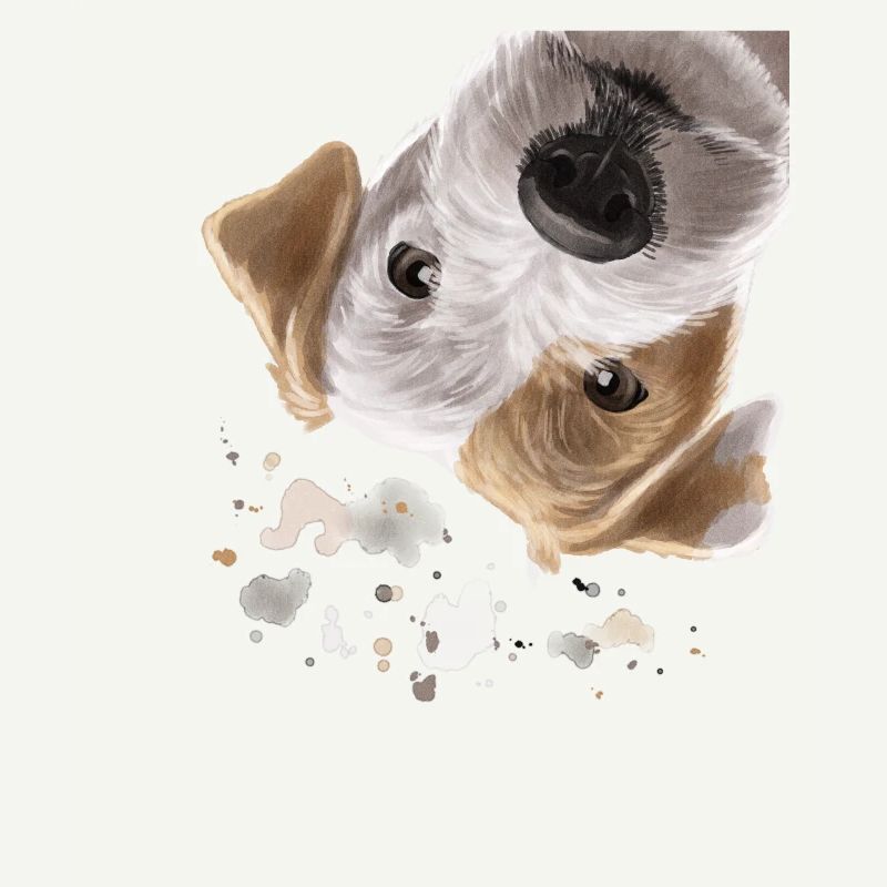 Neugieriger Parson Russell Terrier Hund