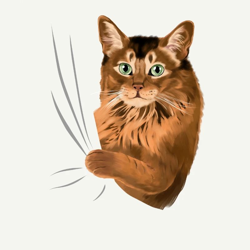 Somalikatze