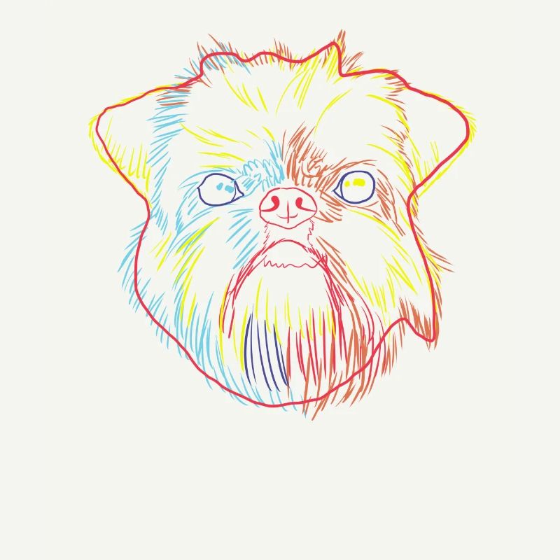 Brussels Griffon chien
