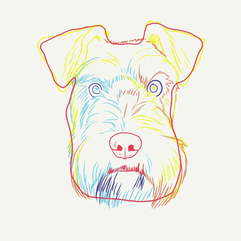 Colorful Schnauzer Dog