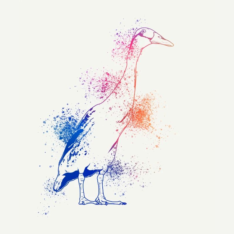 Cour de course colorée