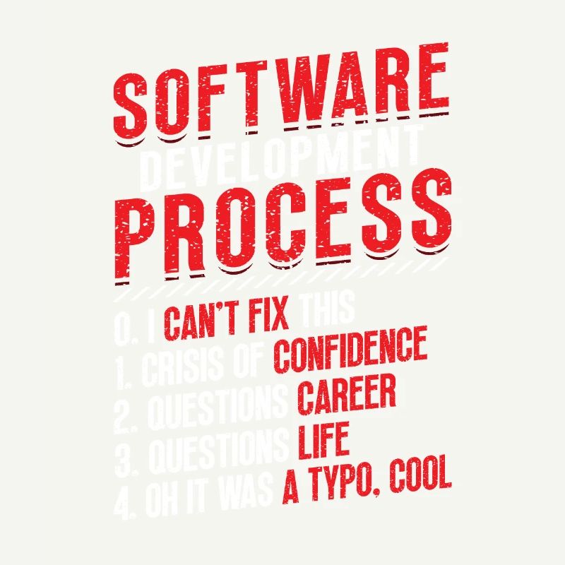 Processus de développement logiciel, programmation