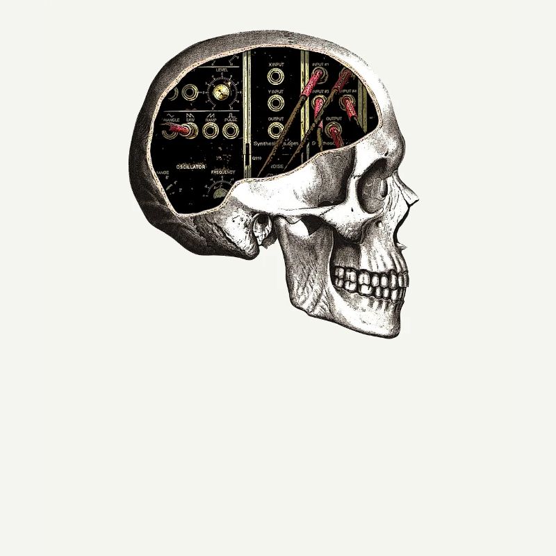 Analog Modular Skull für Synth Nerd