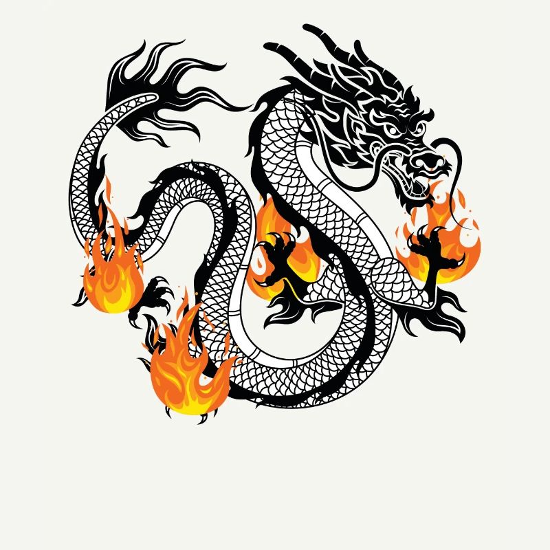 Dragon Dragons Conception dragon