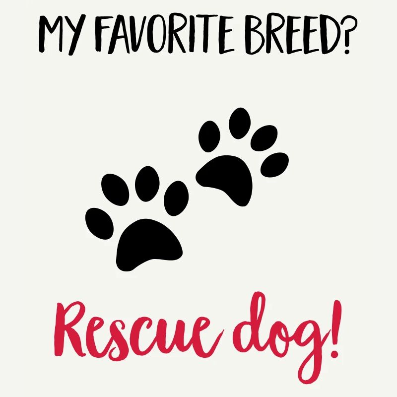rescuedog