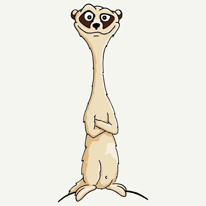 suricate effronté