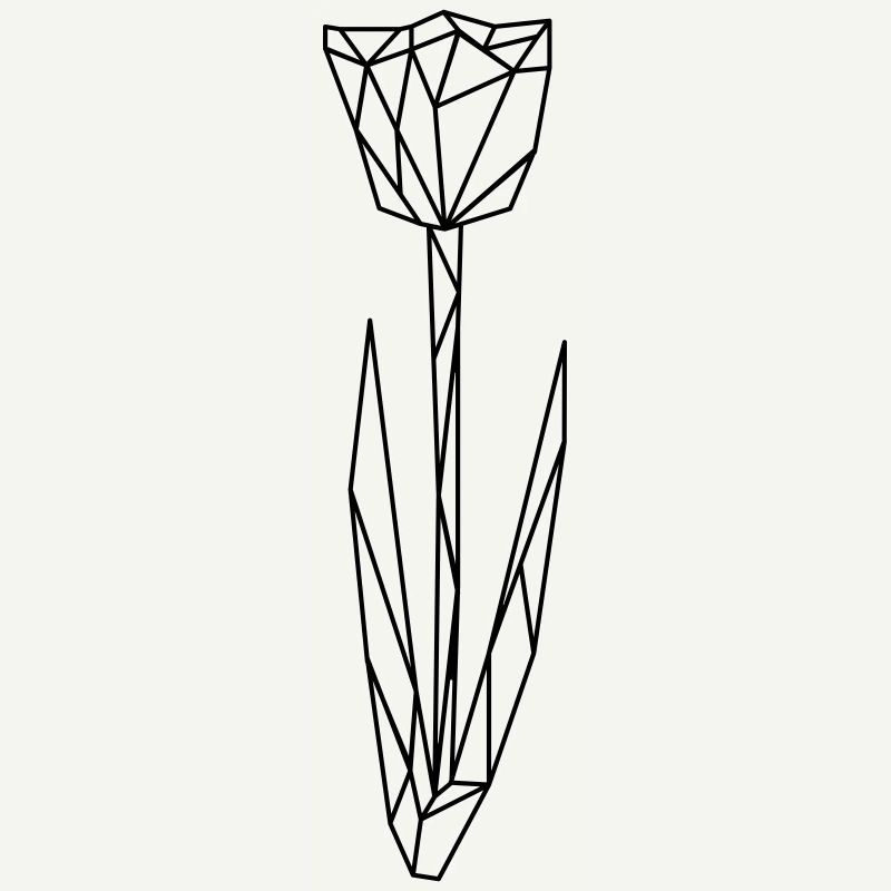 Polygone de tulipe