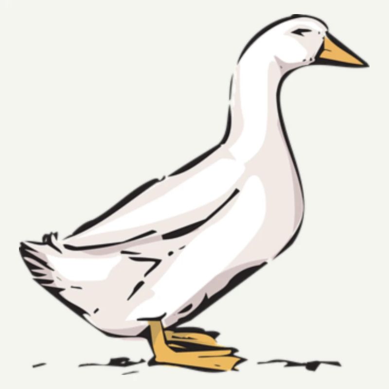 goose
