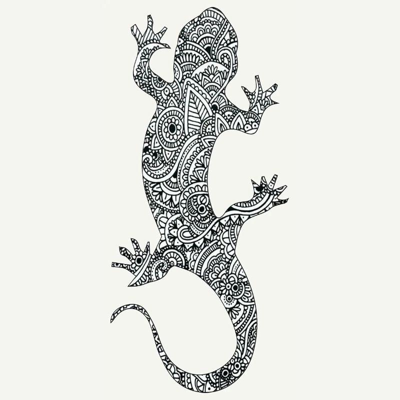 lizard