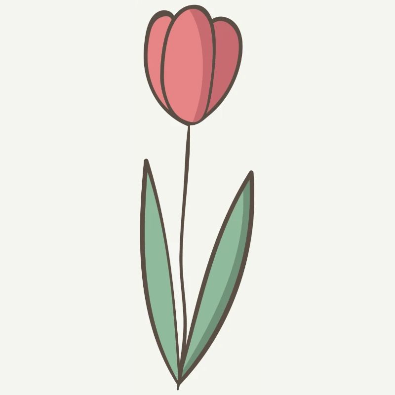 tulipe