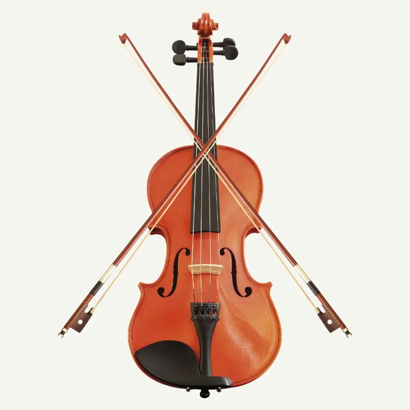 Violon avec archets