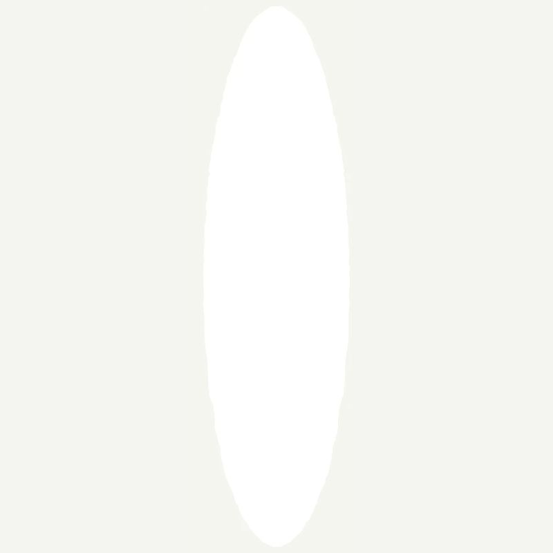 Surfboard