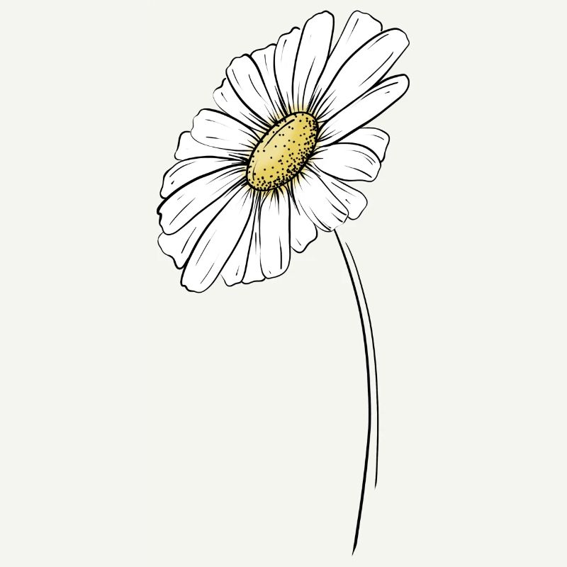 Summery daisy