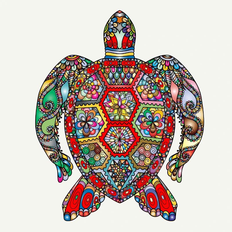 turtle