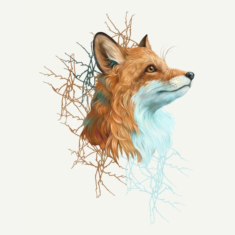 Happy the Fox