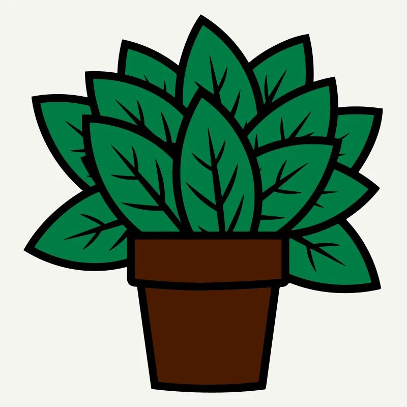 Pflanze Geschenkidee plant gift idea