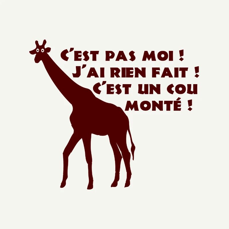 C'EST PAS MOI, J'AI RIEN FAIT, C'EST UN COU MONTÉ