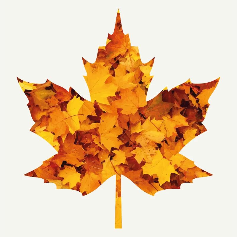 Feuille d’érable