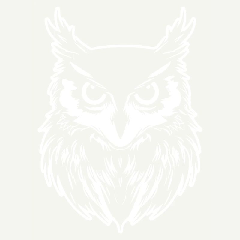 Eule Eulen Vogel Vögel