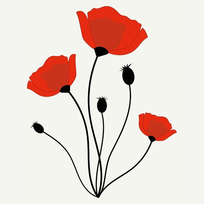 Coquelicot
