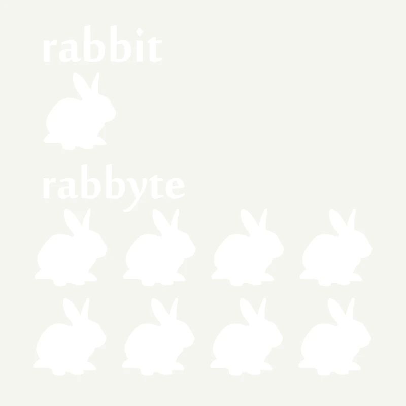 Programmer computer scientist byte rabbit gift