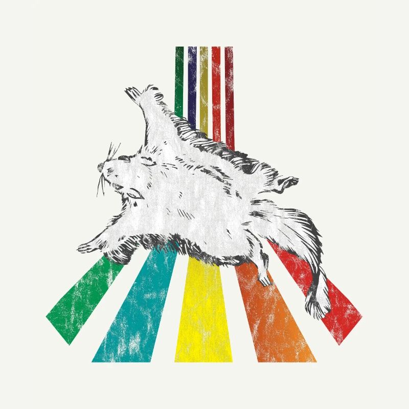 Rainbow Flughörnchen Used Look