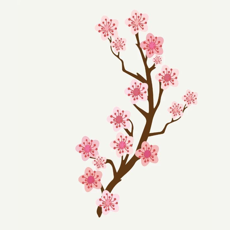 fleur de cerisier