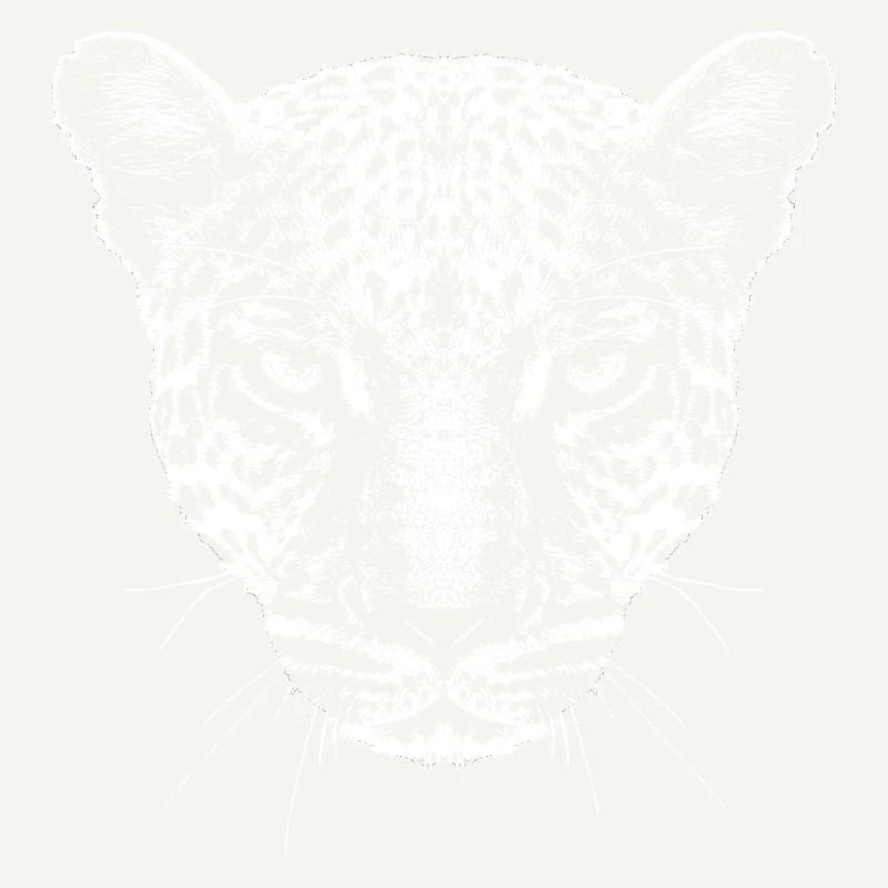 Leopard / Head / Graphic / White