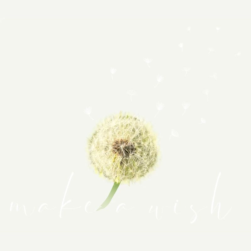 make a wish Dandelion