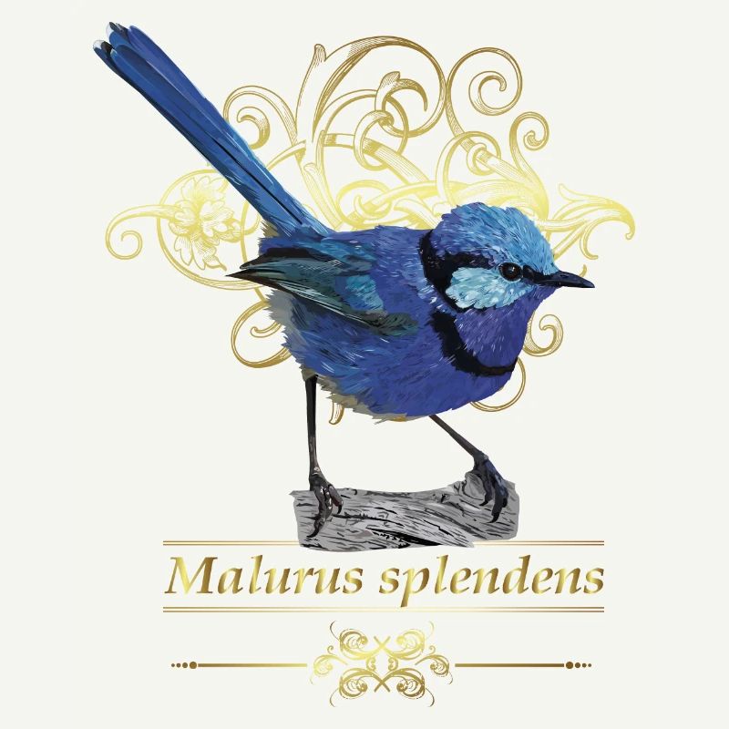 Herrlicher Maluro