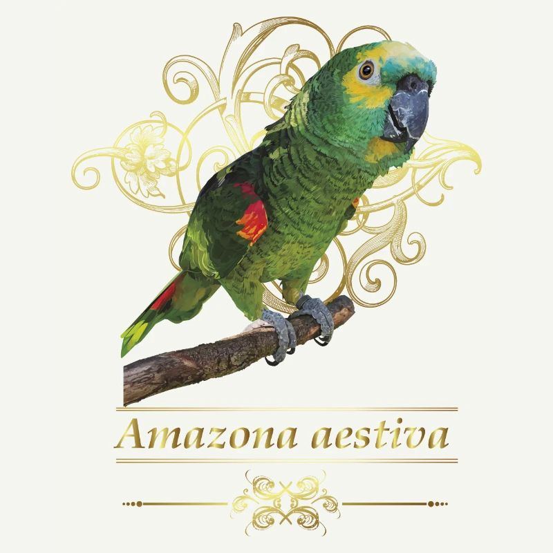 L’amazone à front bleu