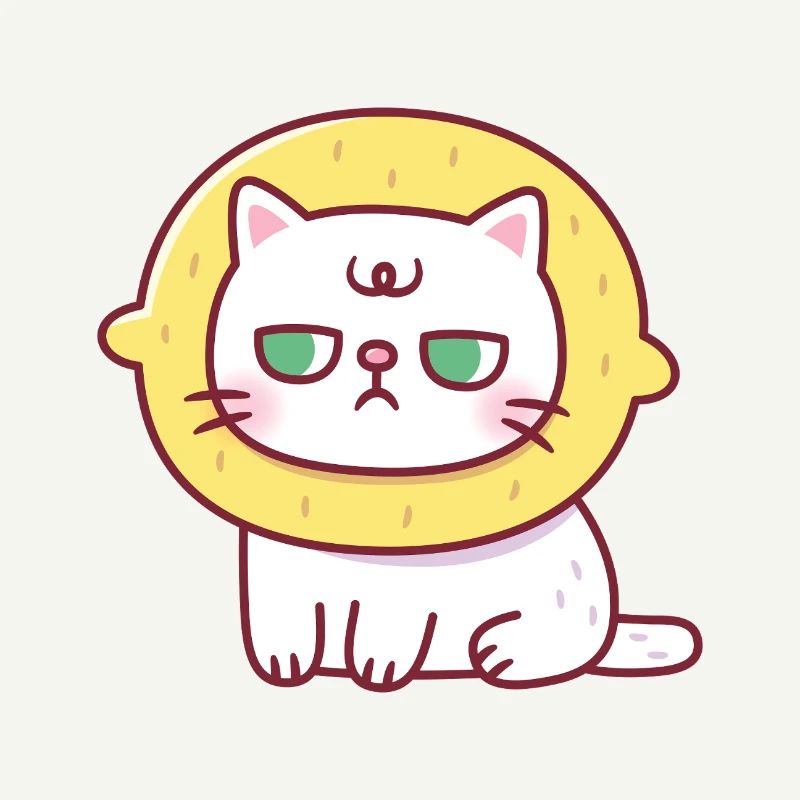 Drôle de chat avec chapeau de citron Sourpuss