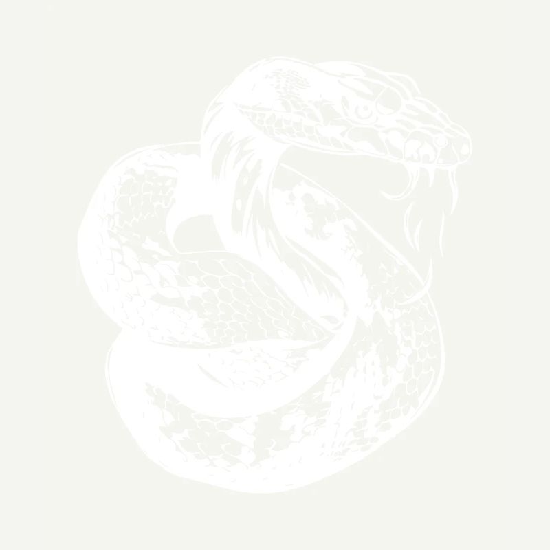 Schlange Tattoo Cobra