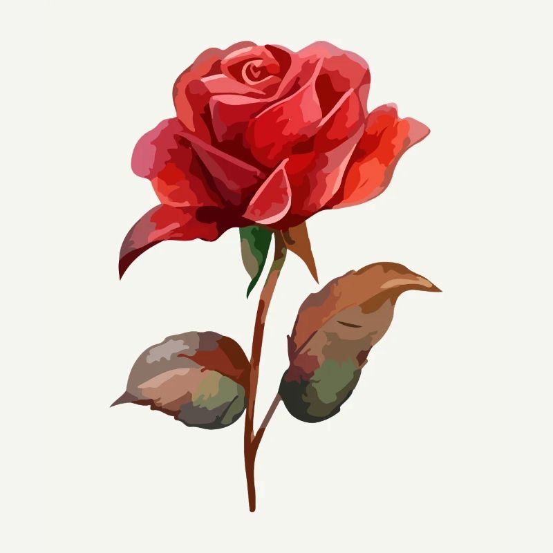 Rose Fleur Amour Saint Valentin