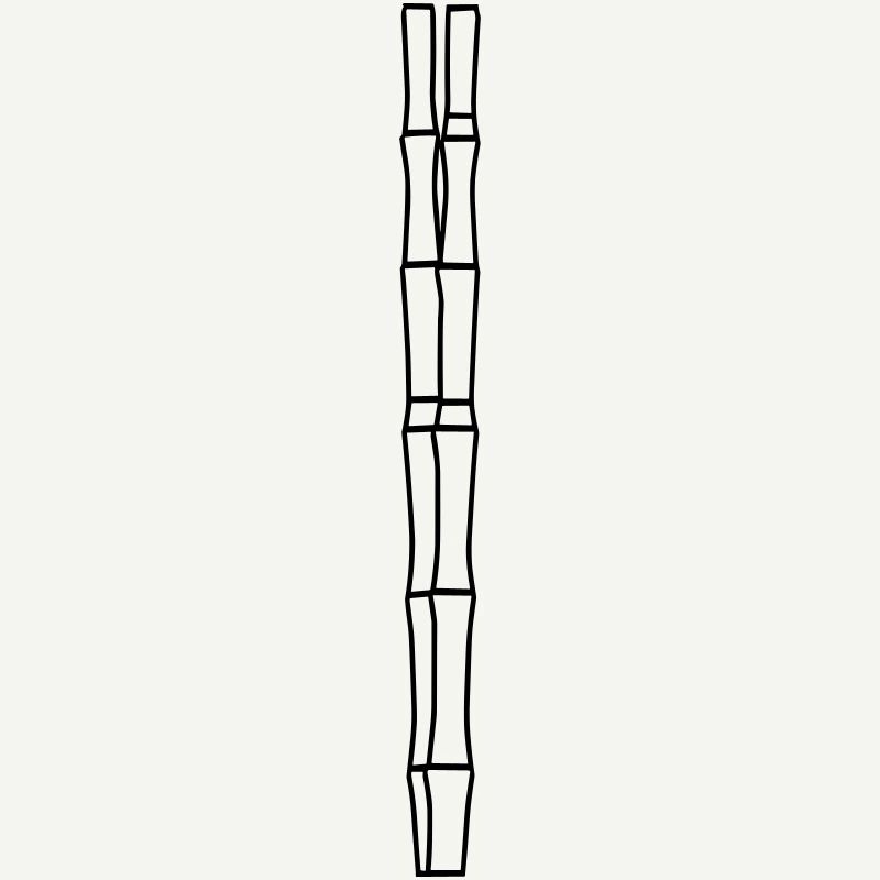 bamboo