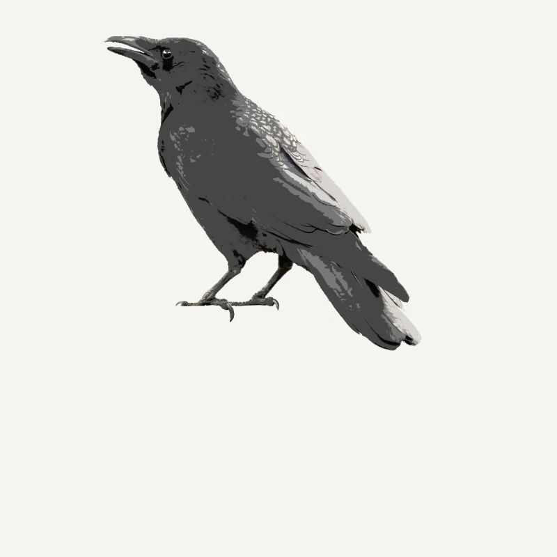 Crow