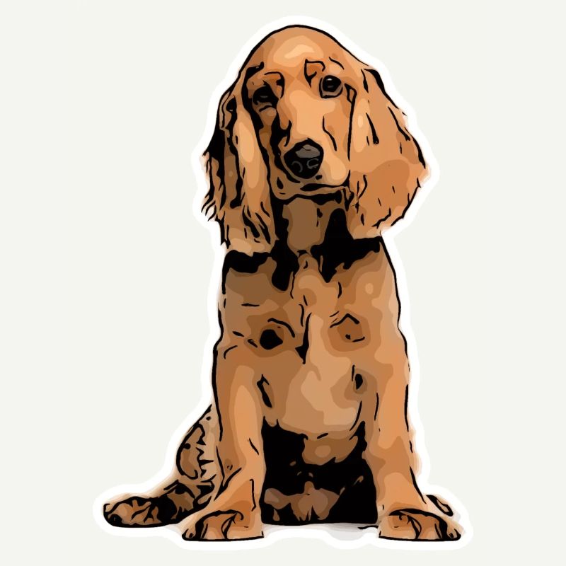 Cocker Spaniel Pet Design