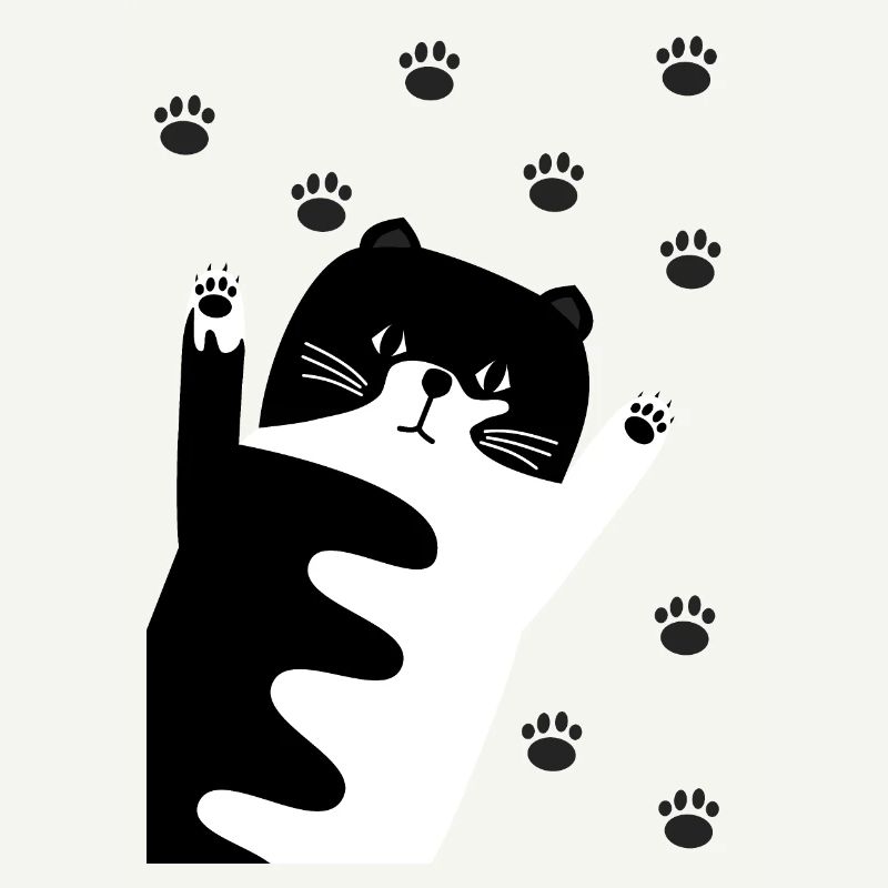Black and White Cat