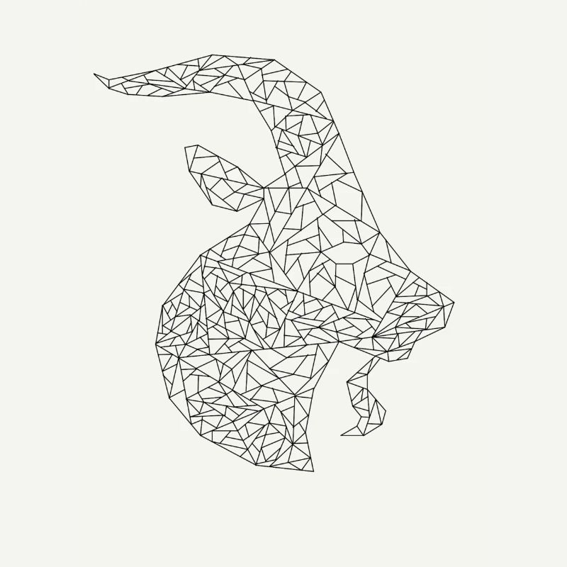 Capricorne