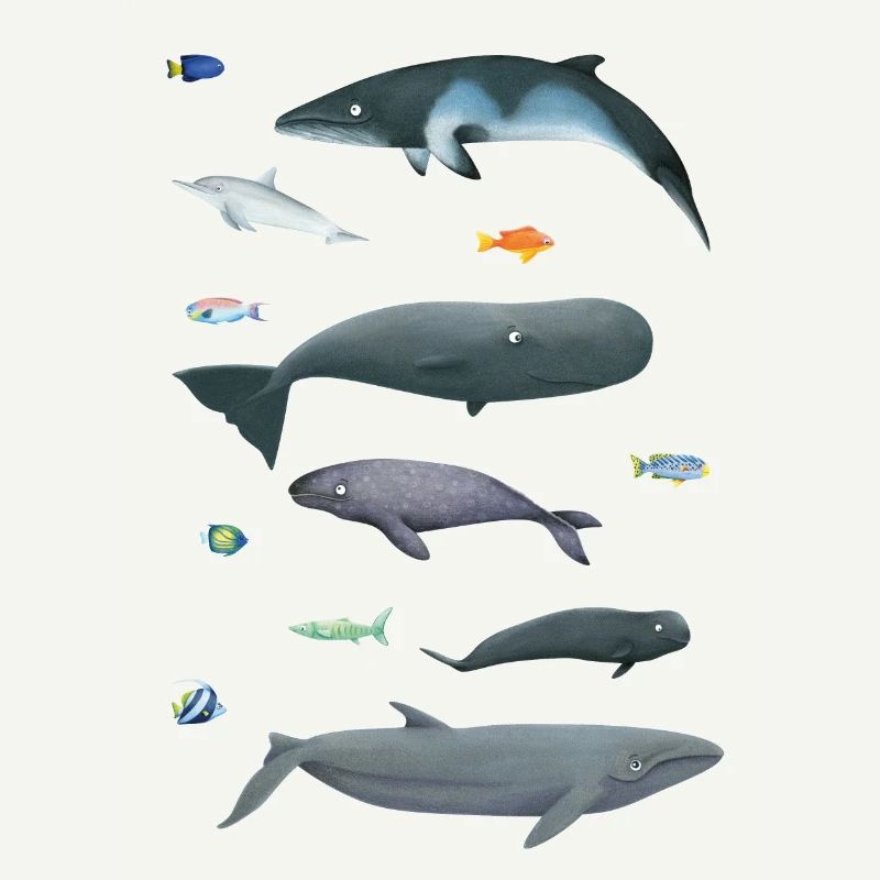 Patterns with whales and fish / underwater world