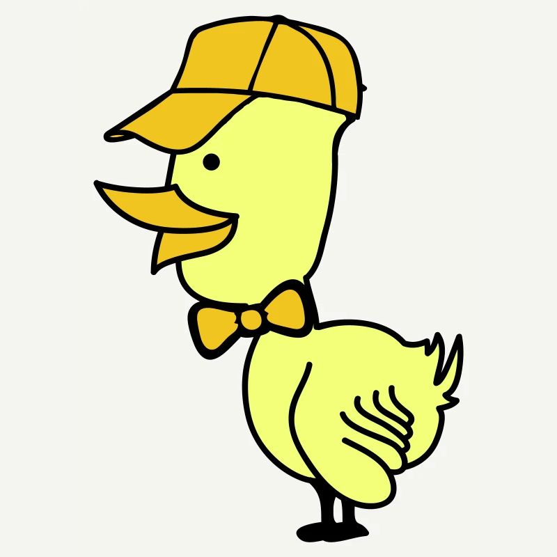 Bonnet de canard